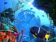 Coral Clock 3D Screensaver screenshot